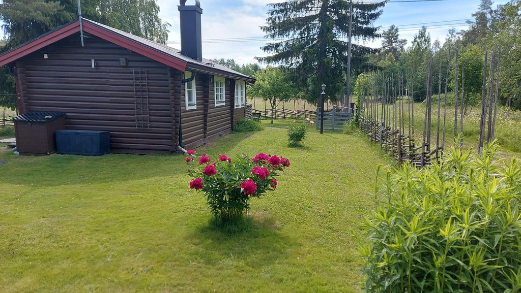 Säljarens sommarbild. 