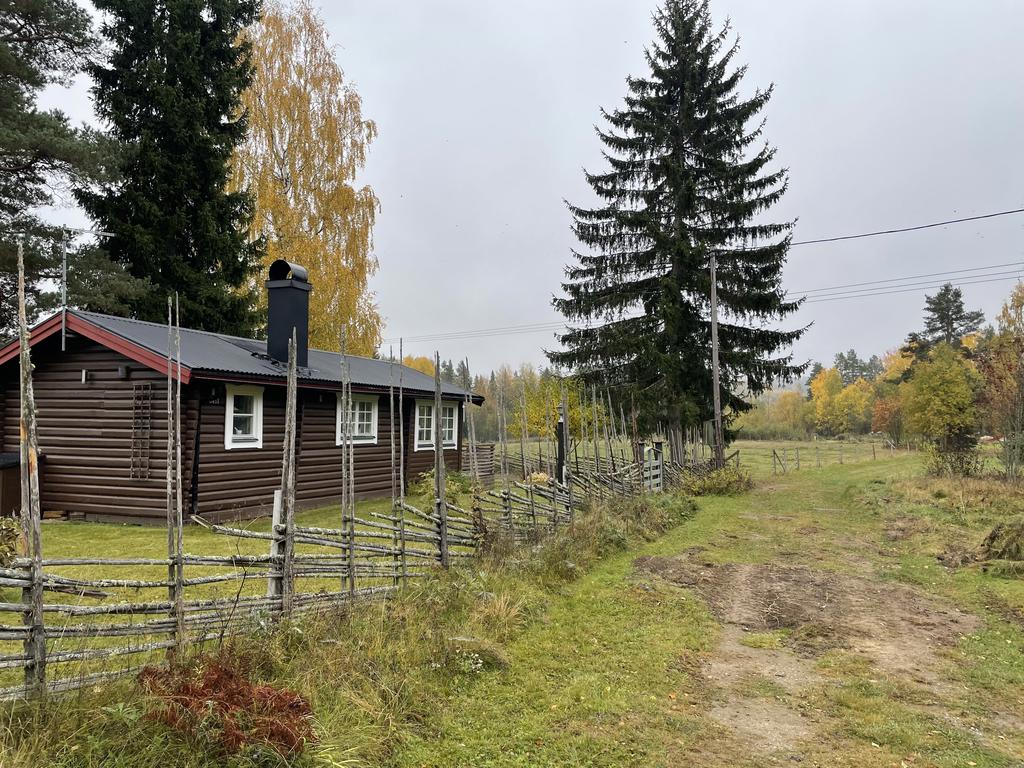 Höstbild med gräsväg som går igenom/strax utanför tomten. 
