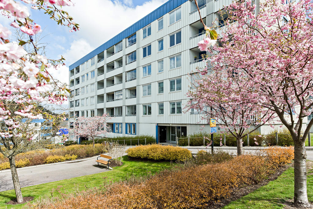 En trivsam innergård.