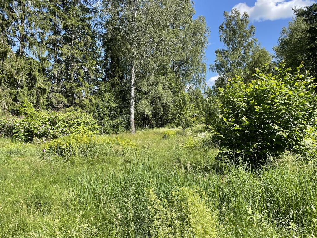 Delar av tomten som är på 3710 kvm.
