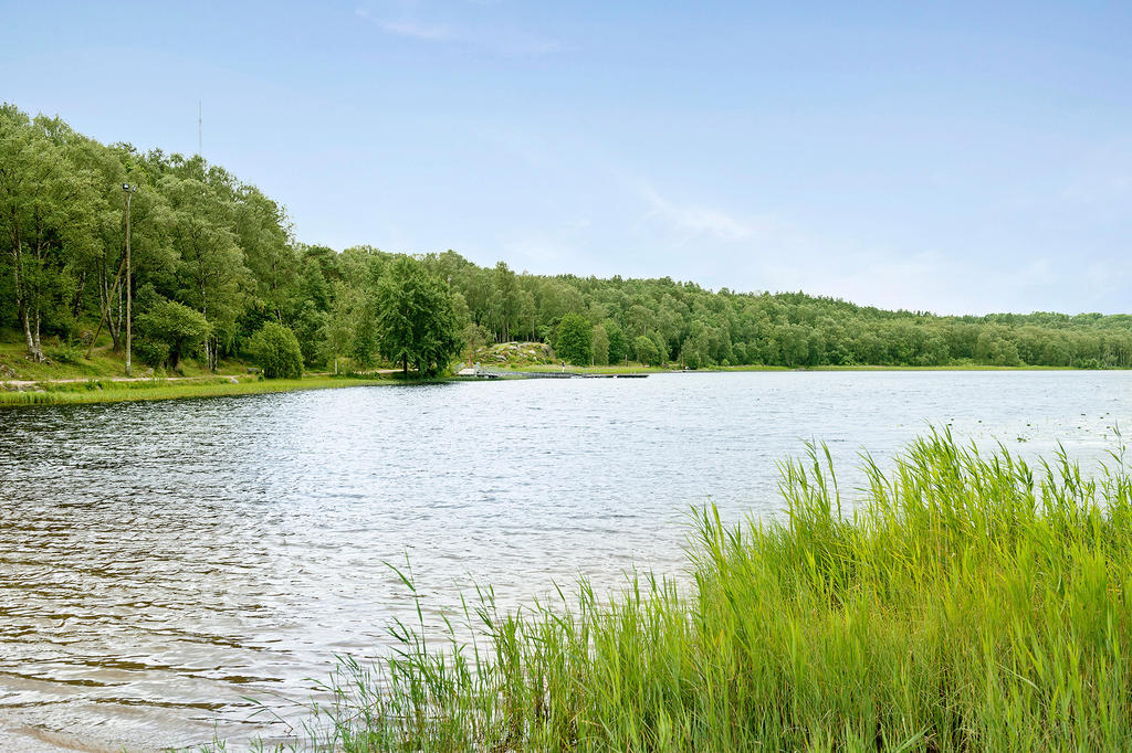 Badplats på gångavstånd vid Härlanda Tjärn