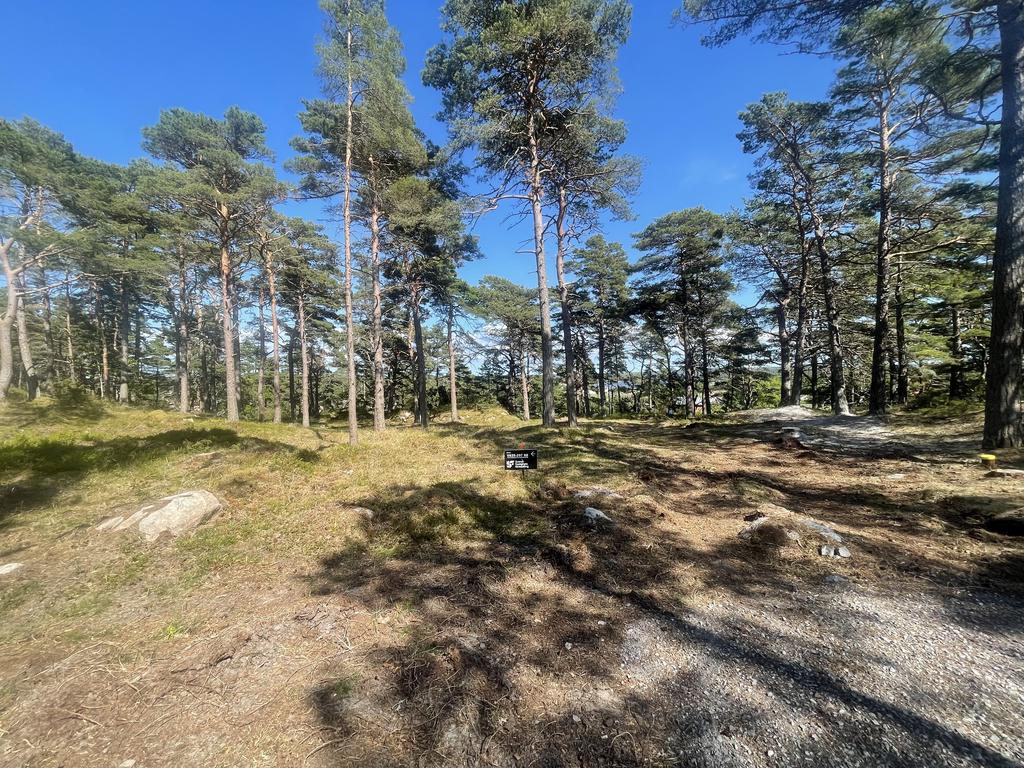 Miljö tomtområdet.