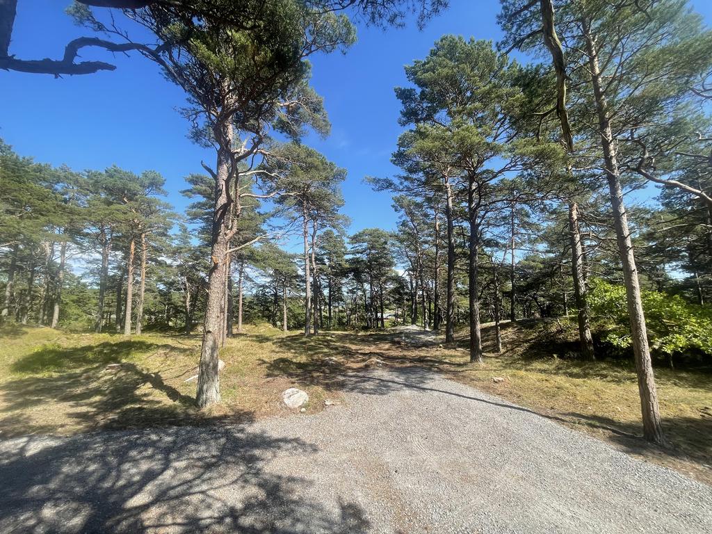 Miljöbild tomt.