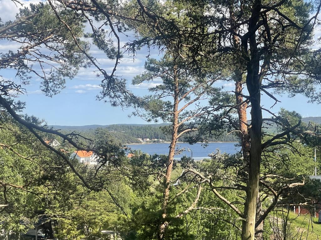 Miljöbild tomt.