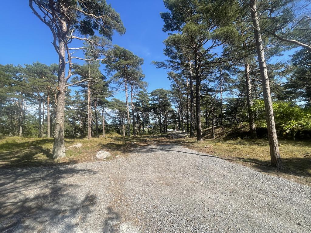 Väg in till tomterna.