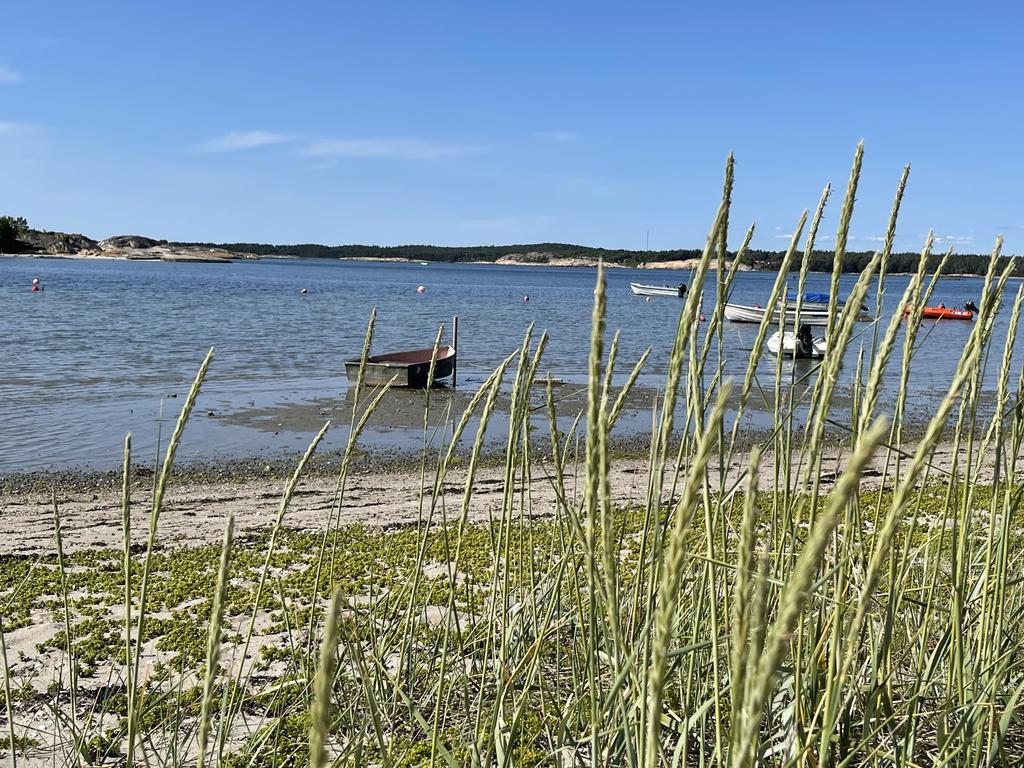 Miljöbild Kyrkviken.