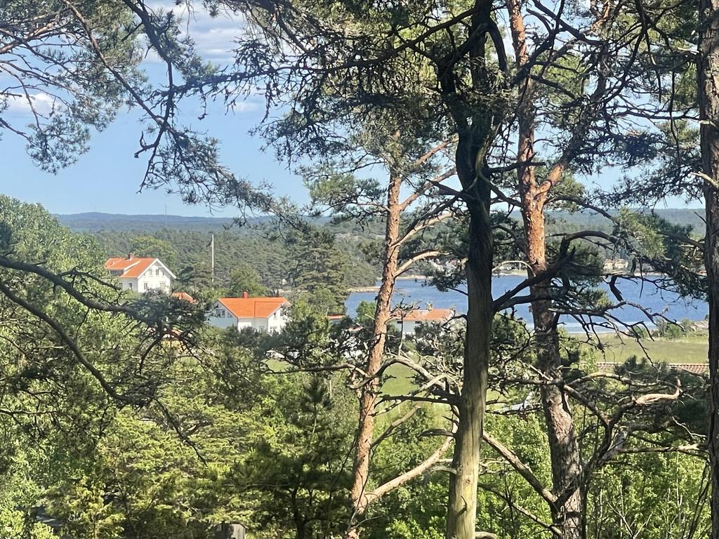 Havsglimt från tomterna.