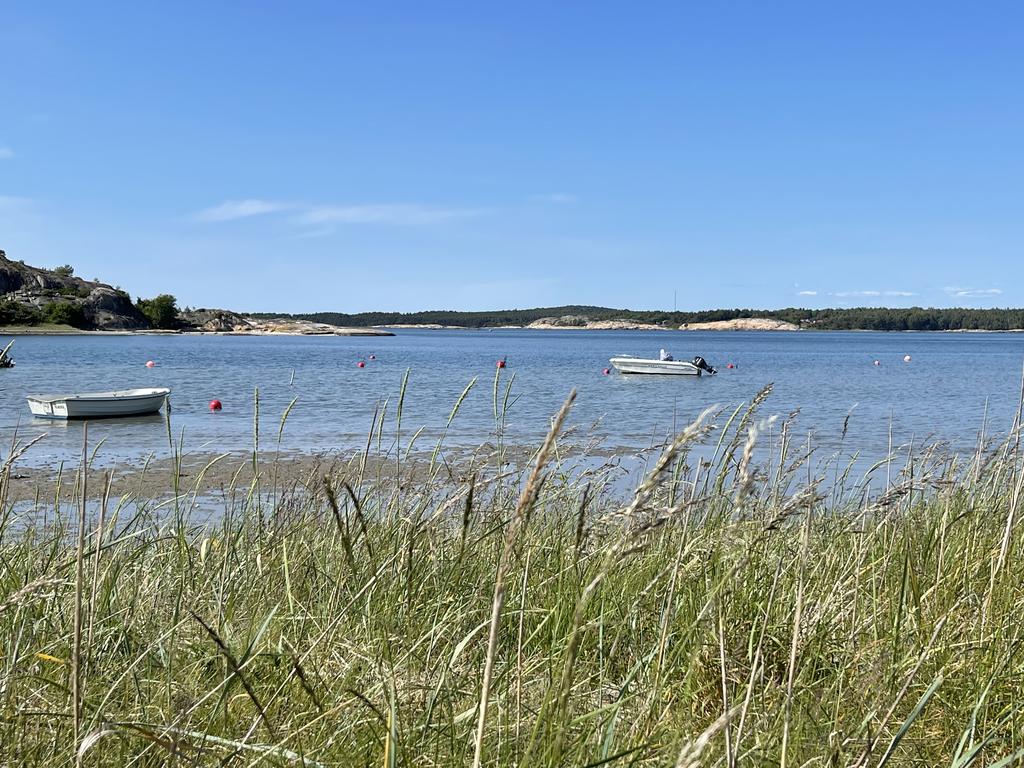 Miljöbild Kyrkviken.