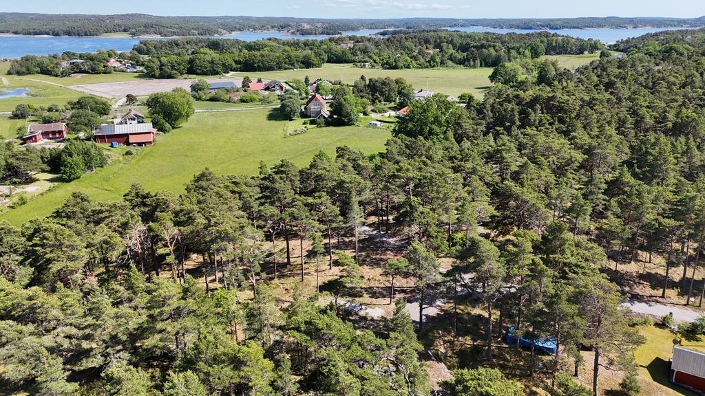 Tomtområdet.