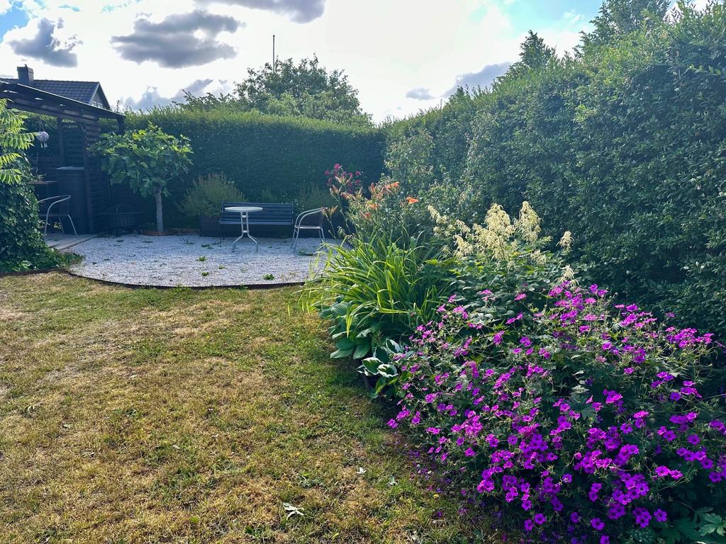 Trädgård säljarens bild