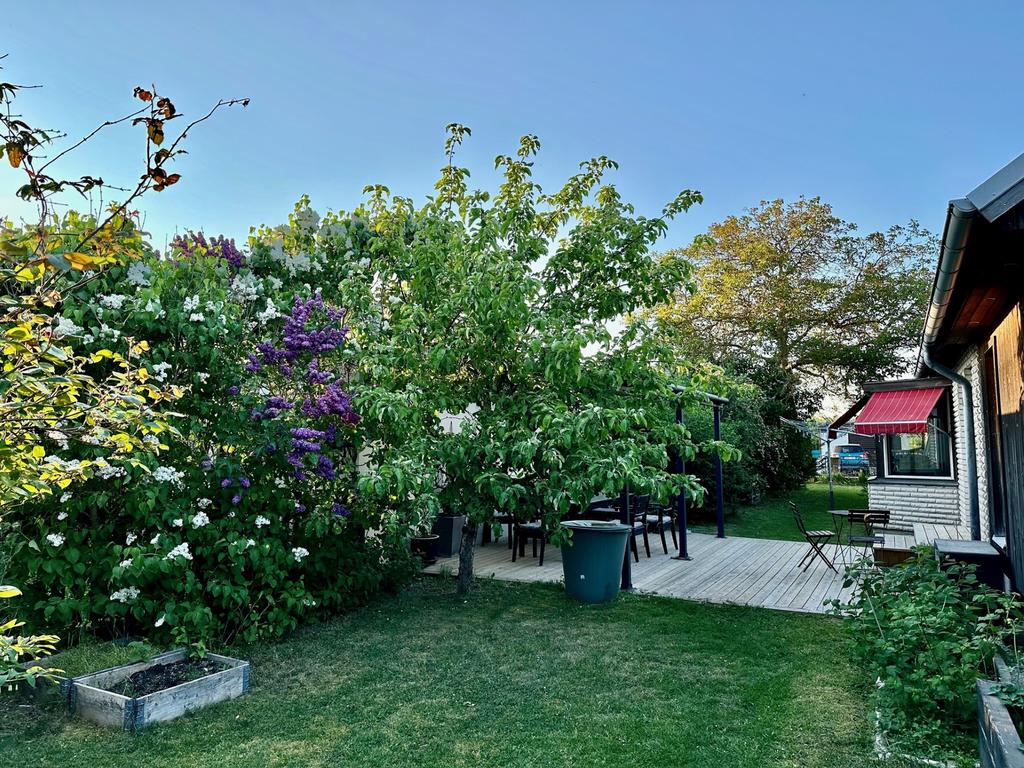 Trädgård säljarens bild