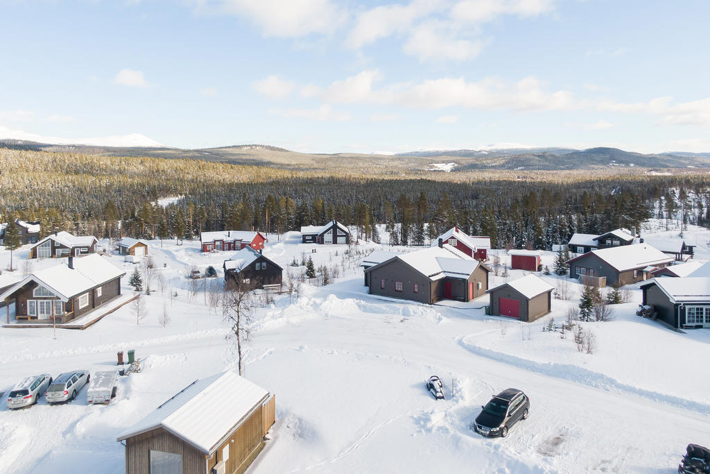 Milsvid utsikt över fjällen