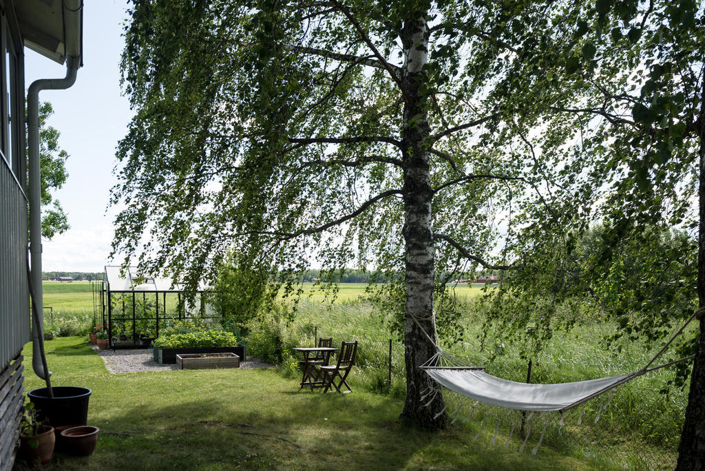 Trädgård. 