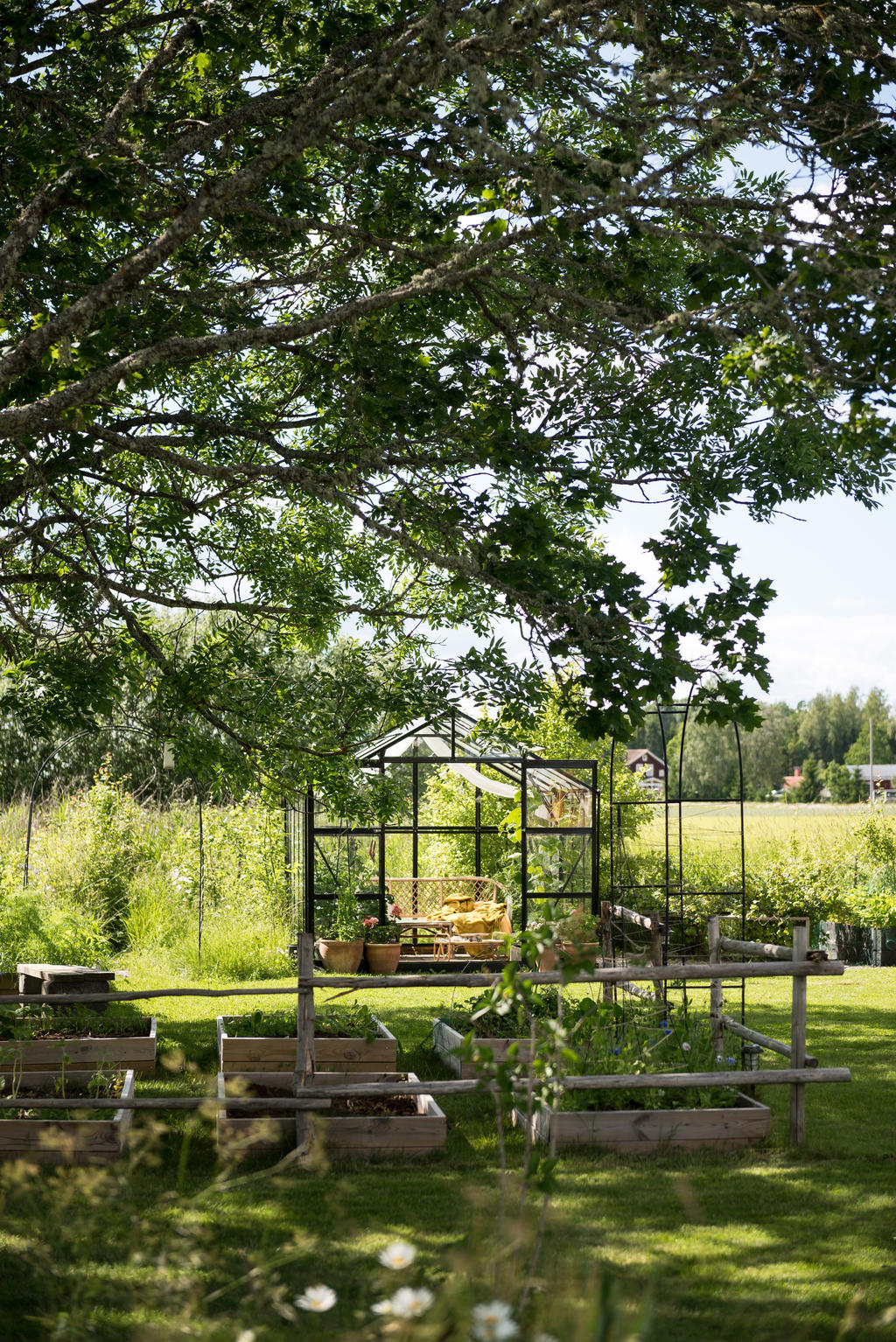 Trädgård. 