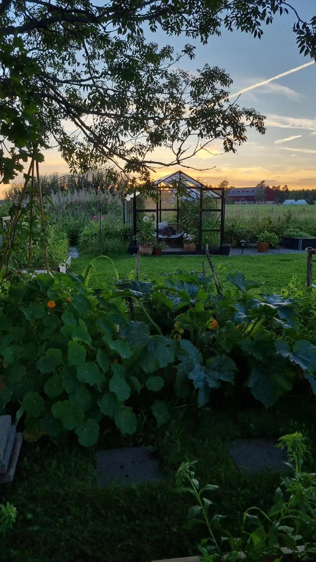 Säljarens privata bild.