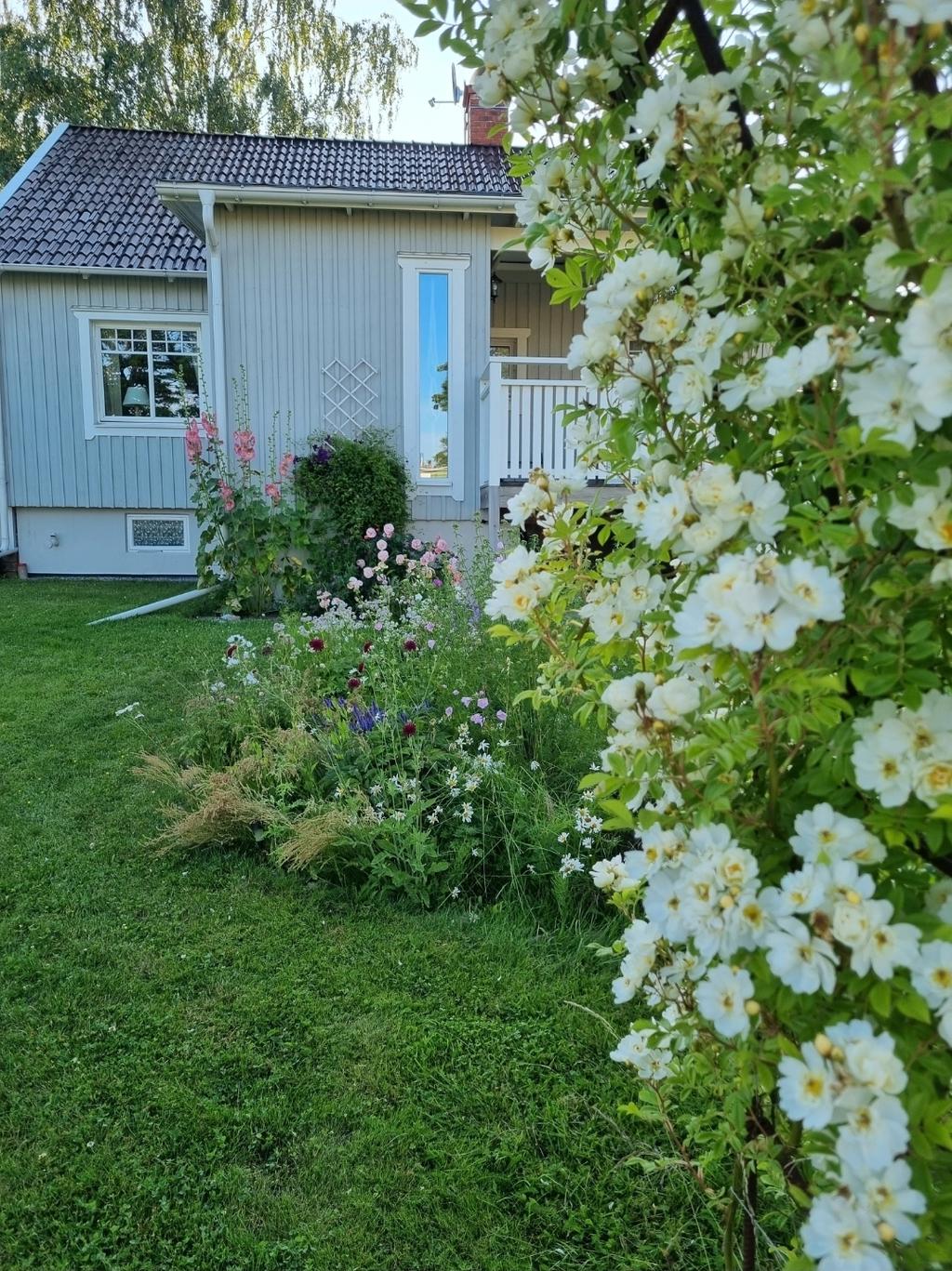 Säljarens privata bild.