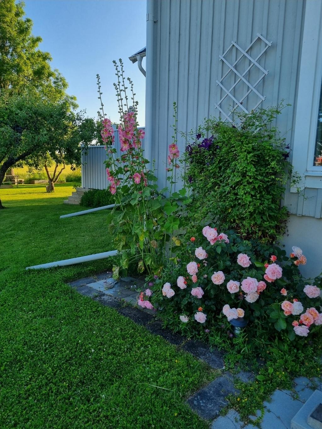 Säljarens privata bild.