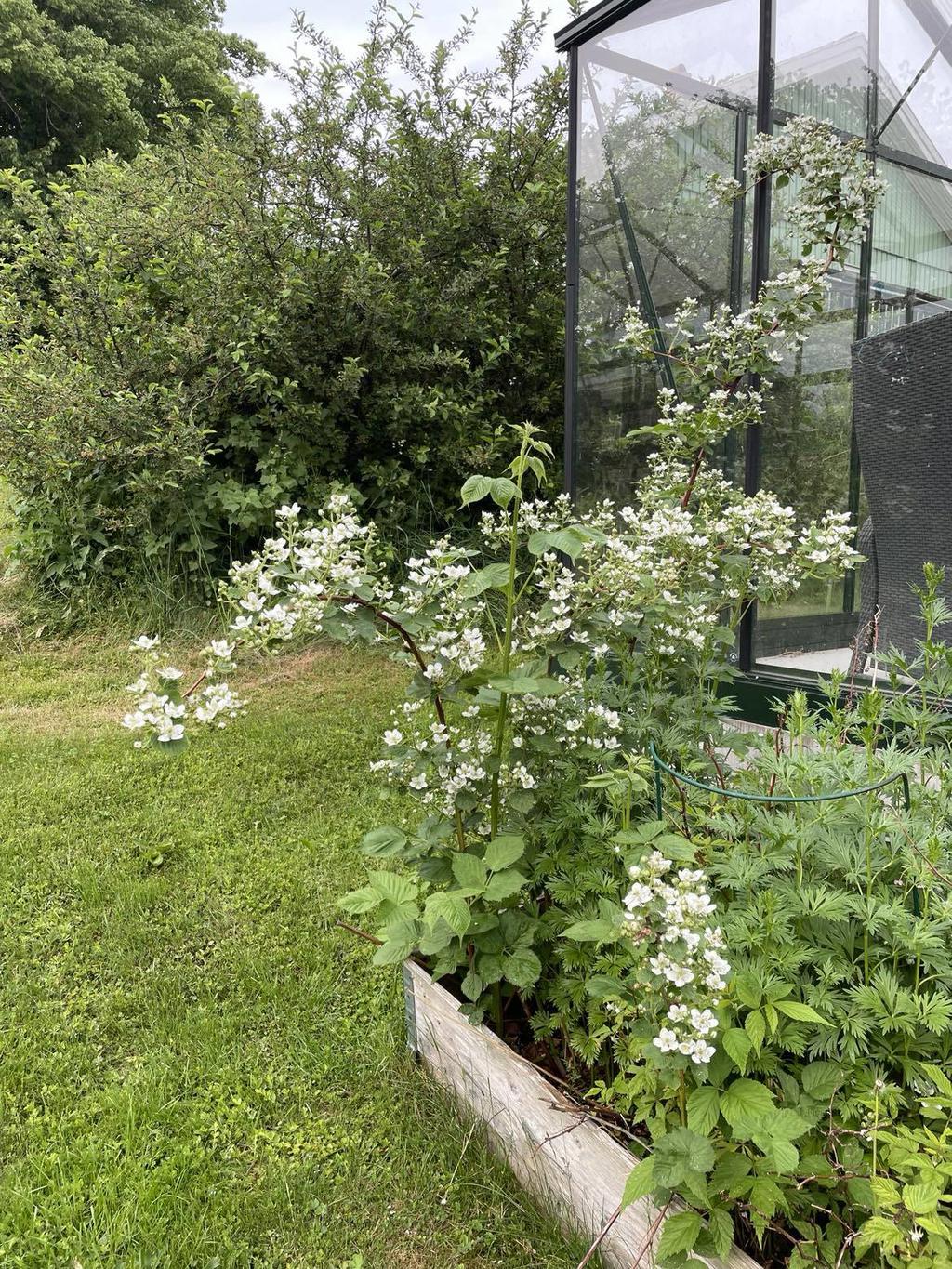 Säljarens egen bild