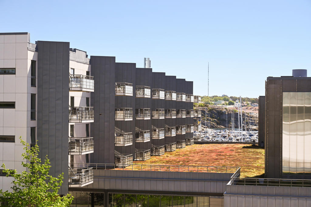 Fina vyer över båthamnen