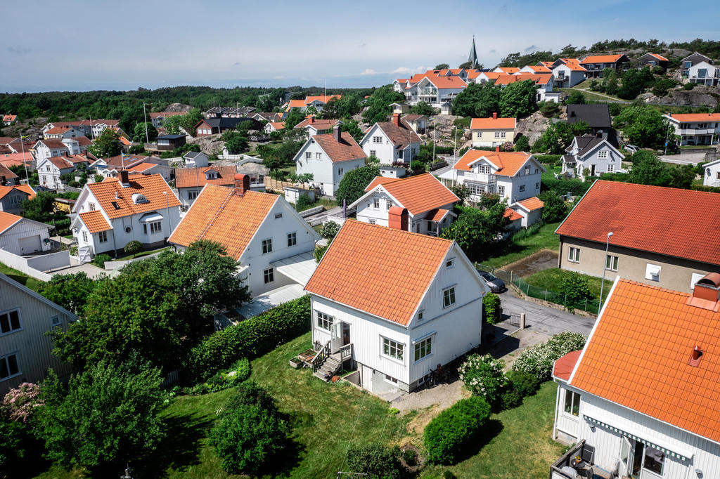 Sommargrön trädgård.