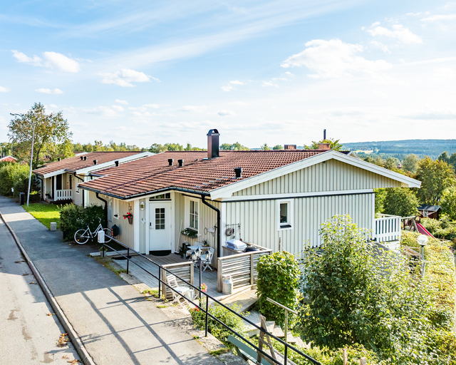 Säljarens bild