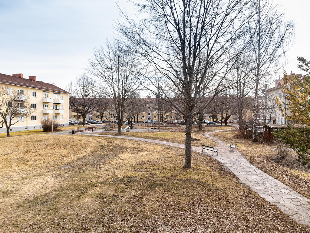 Underbar park med grillplats mm