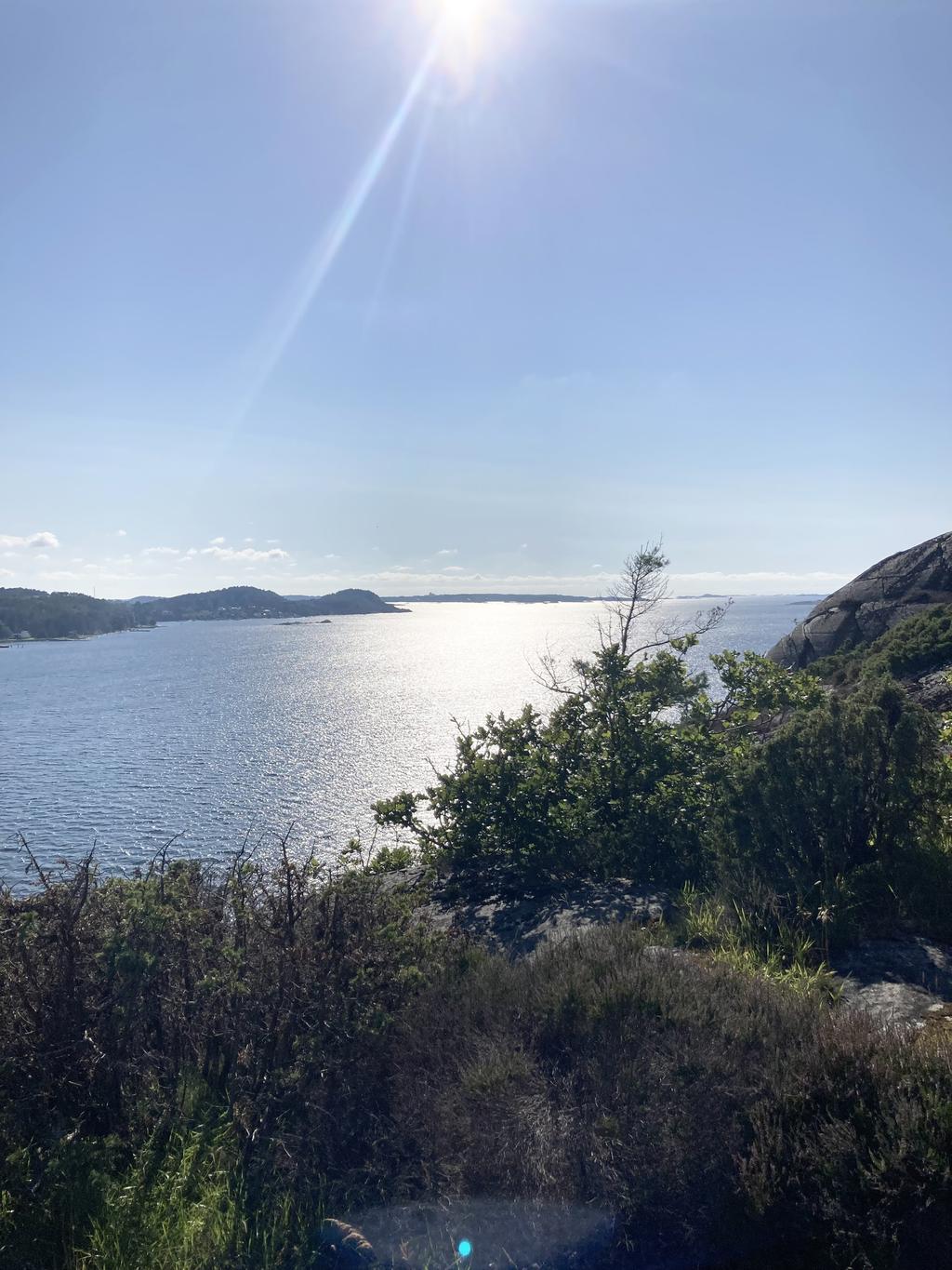 Säljarnas egna bild. En magisk omgivning.