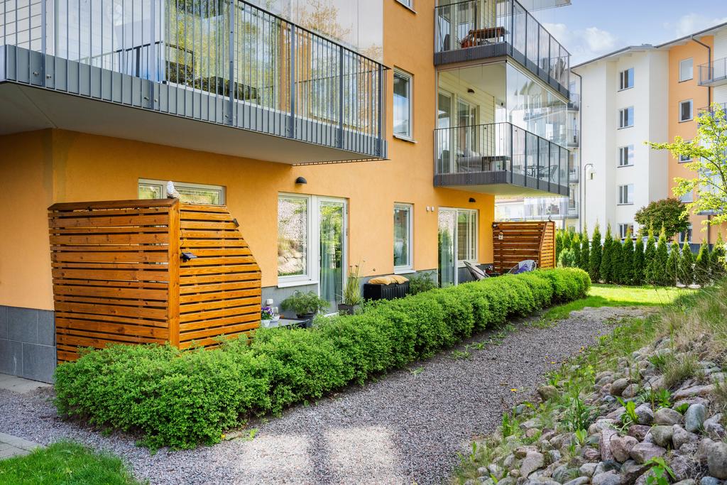 Grönskande uteplats 