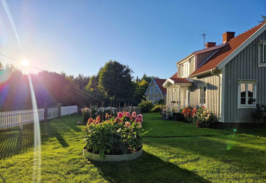 Säljarens bild