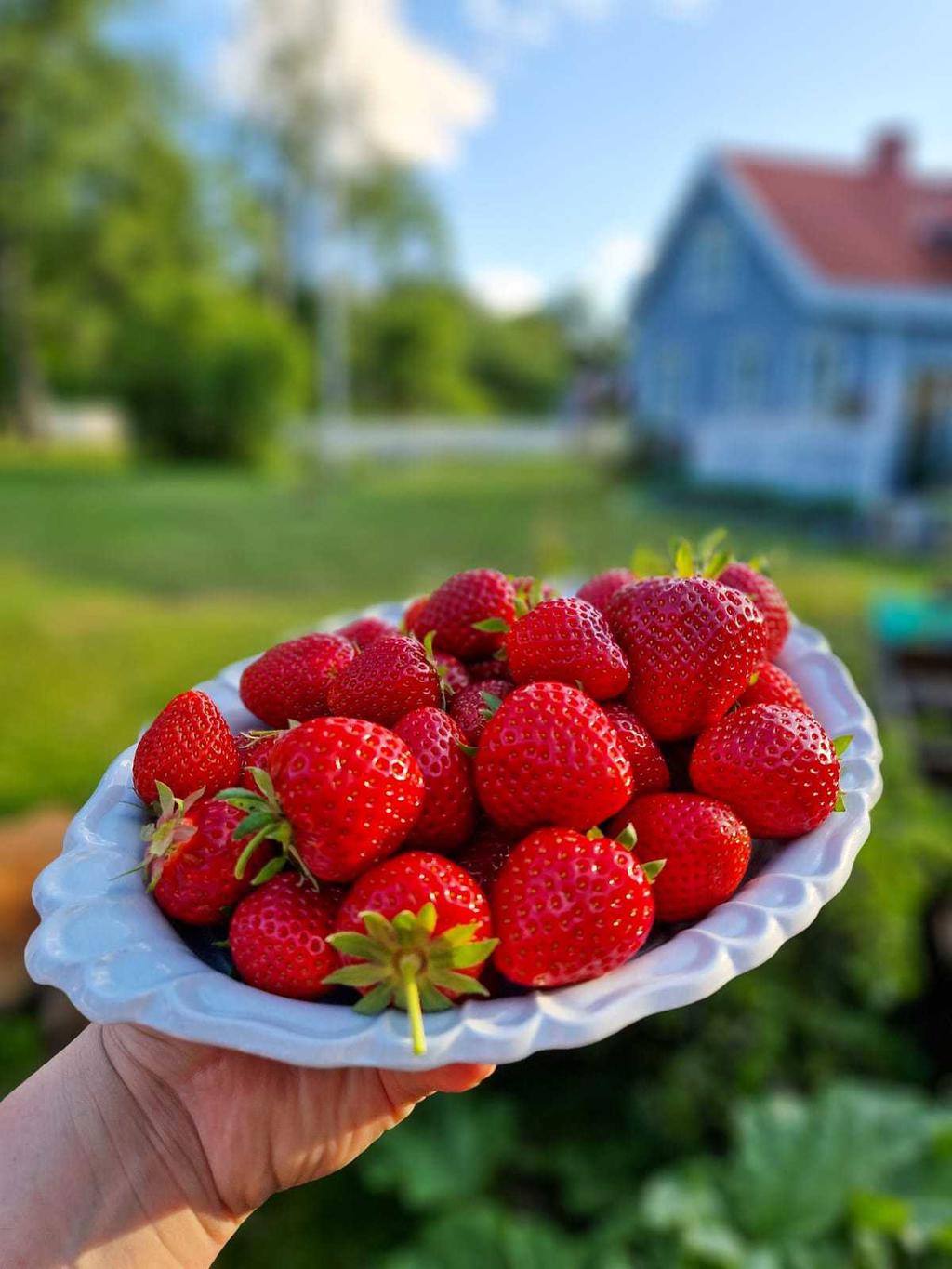 Säljarens bild