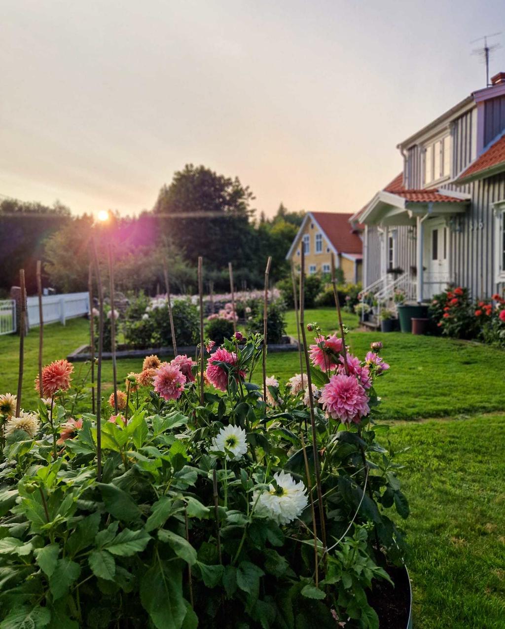 Säljarens bild