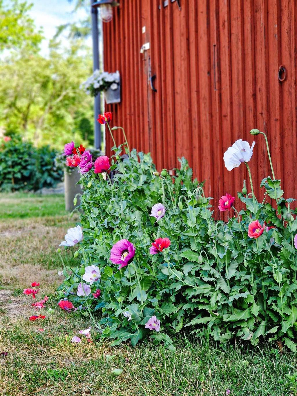 Säljarens bild