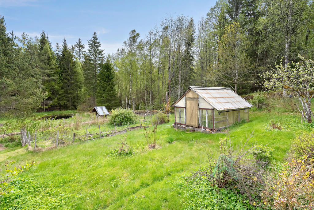 Härlig trädgård med bl.a. växthus