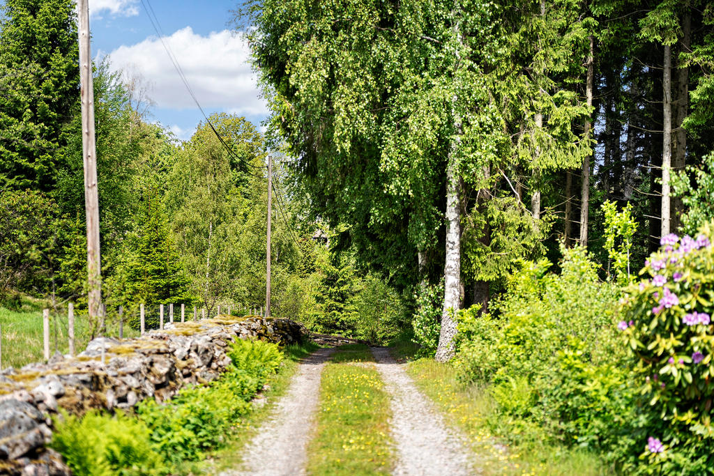 Mysig väg fram till bostaden