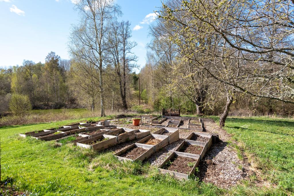 Plantering