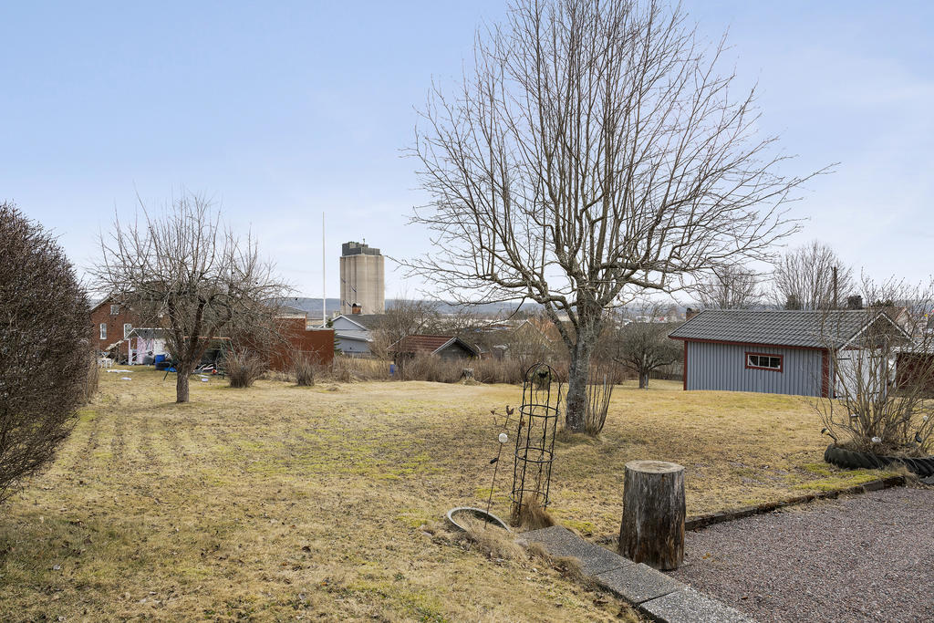 Trädgård