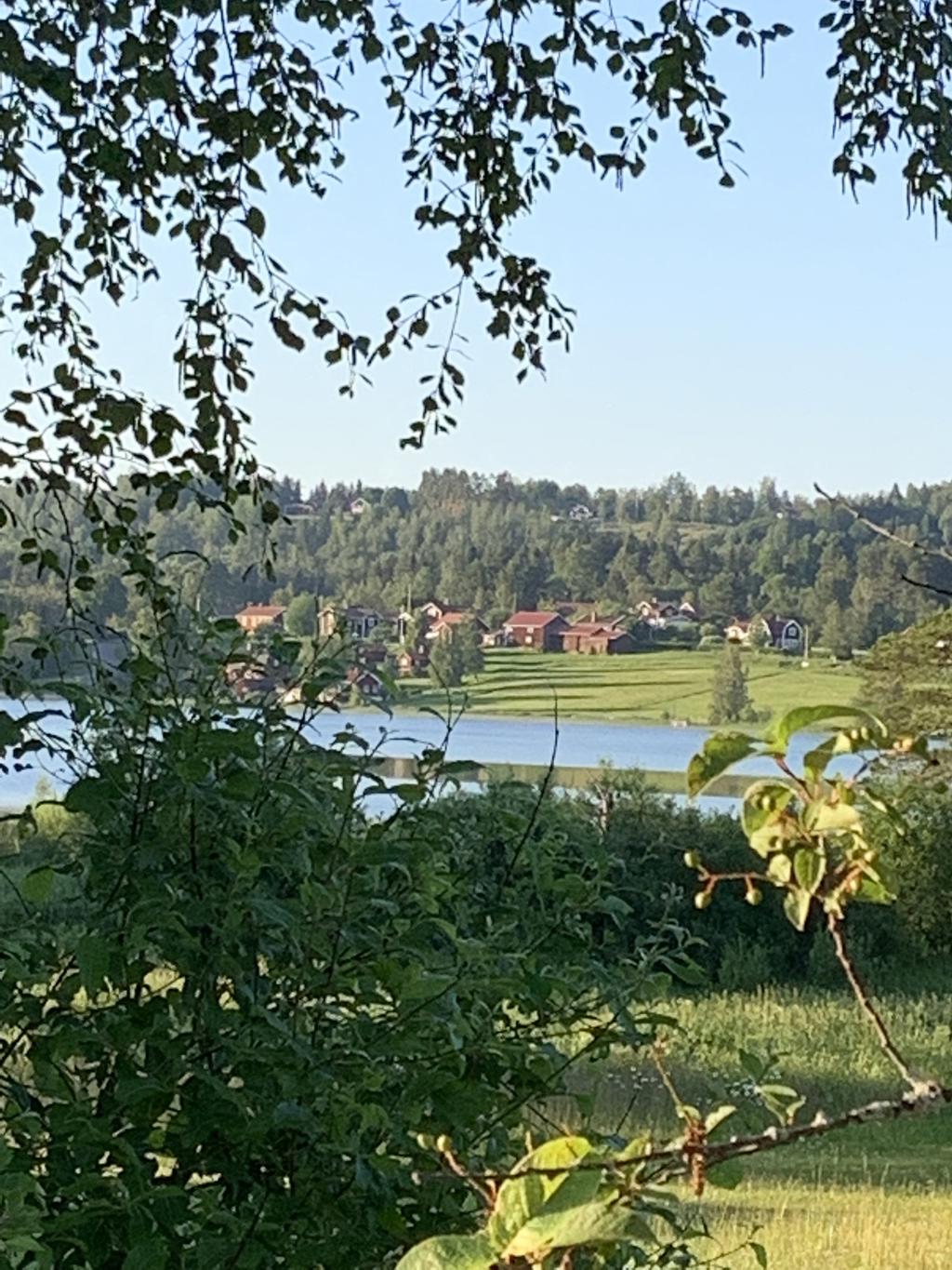 Säljarens egna bilder