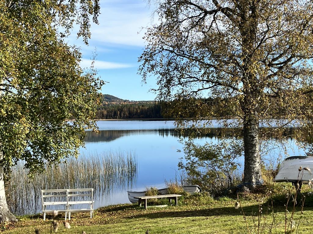 Säljarens egna bilder