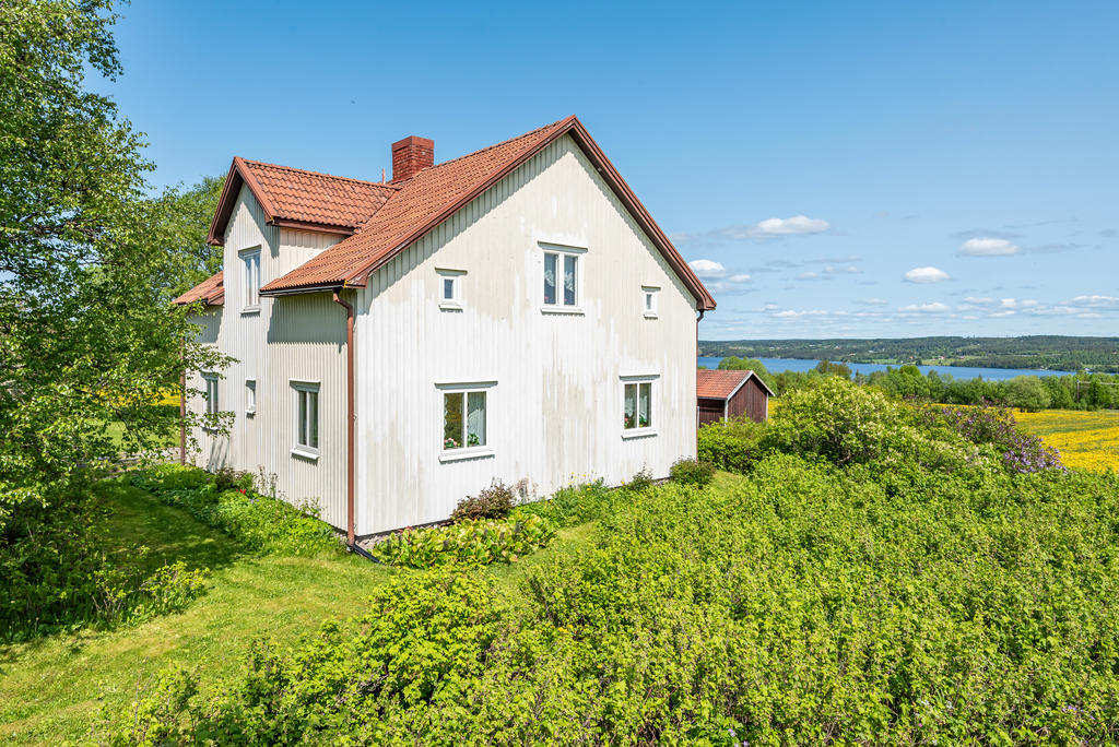 Bärbuskar