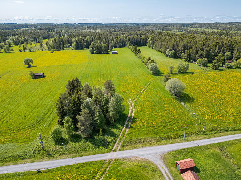 Markerna sträcker sig långt upp.