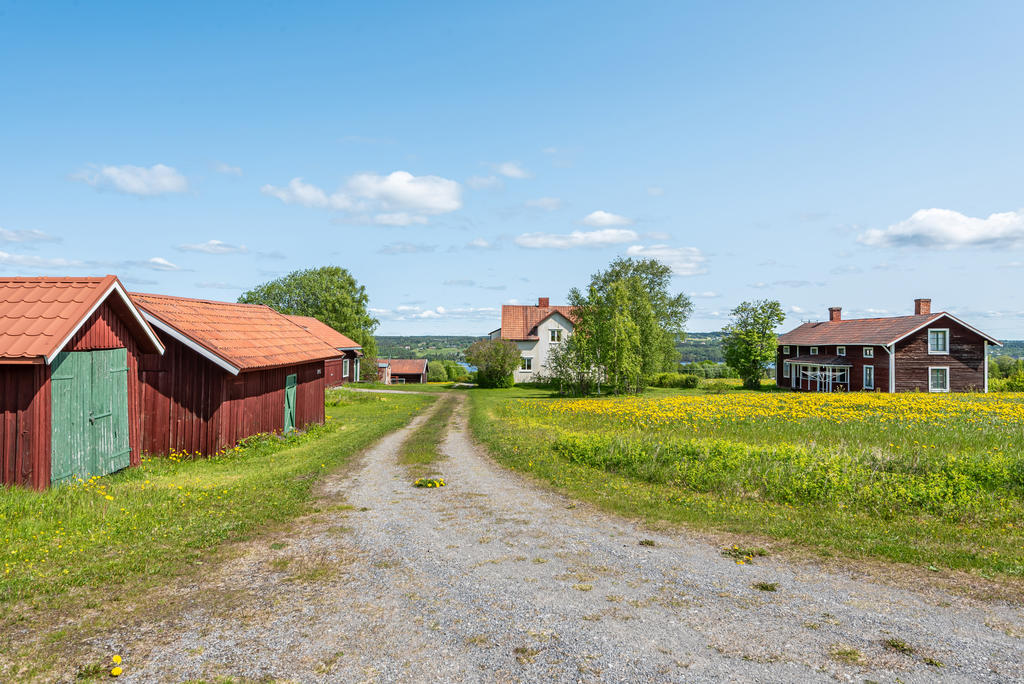 Gårdsbild