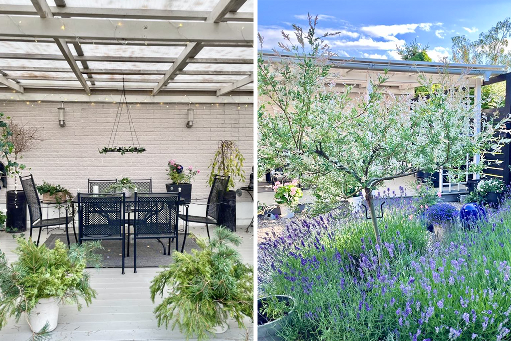 Privat bild från trädgård och uteplats