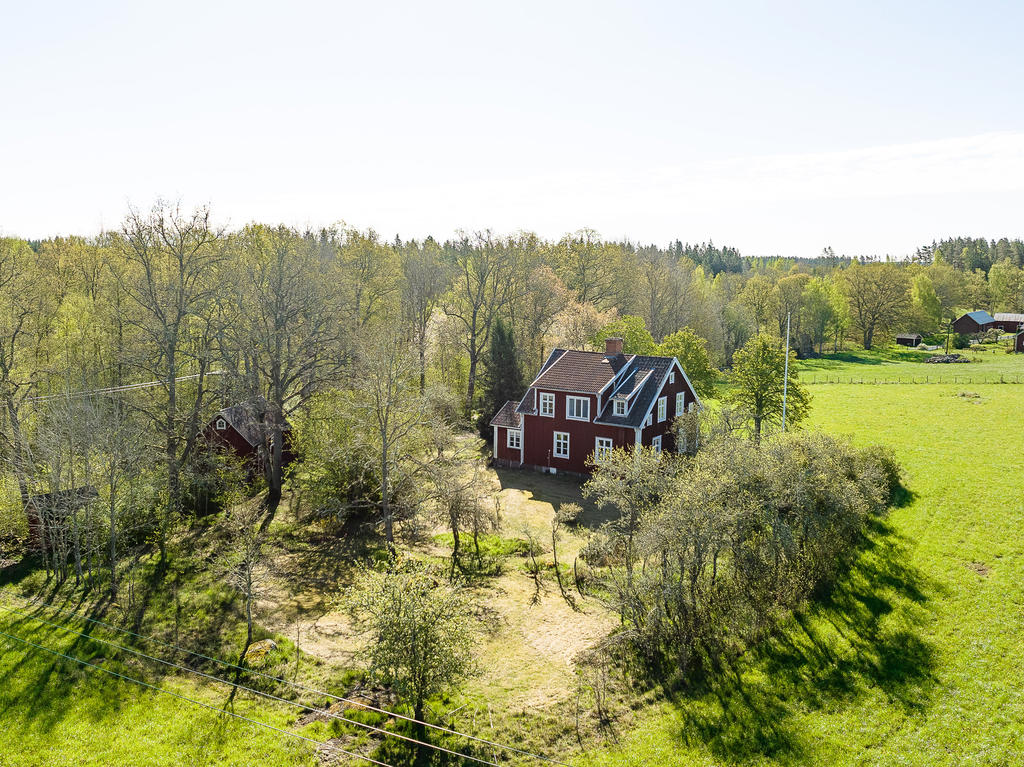 Härlig uppvuxen trädgård