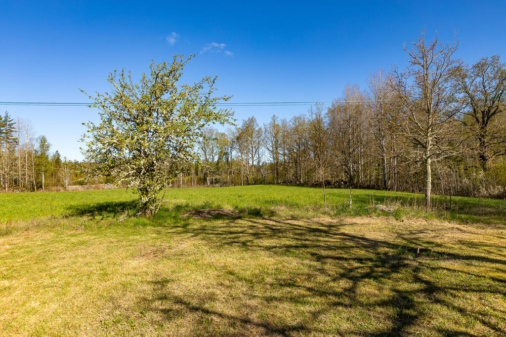 Äng bakom huset