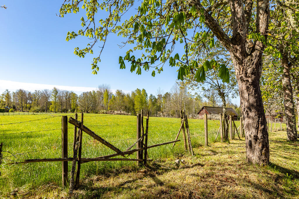 Vy från husets entré