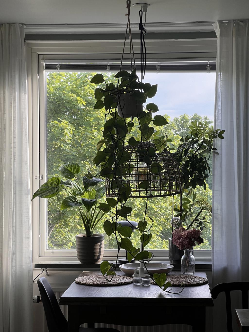 Säljarens bilder