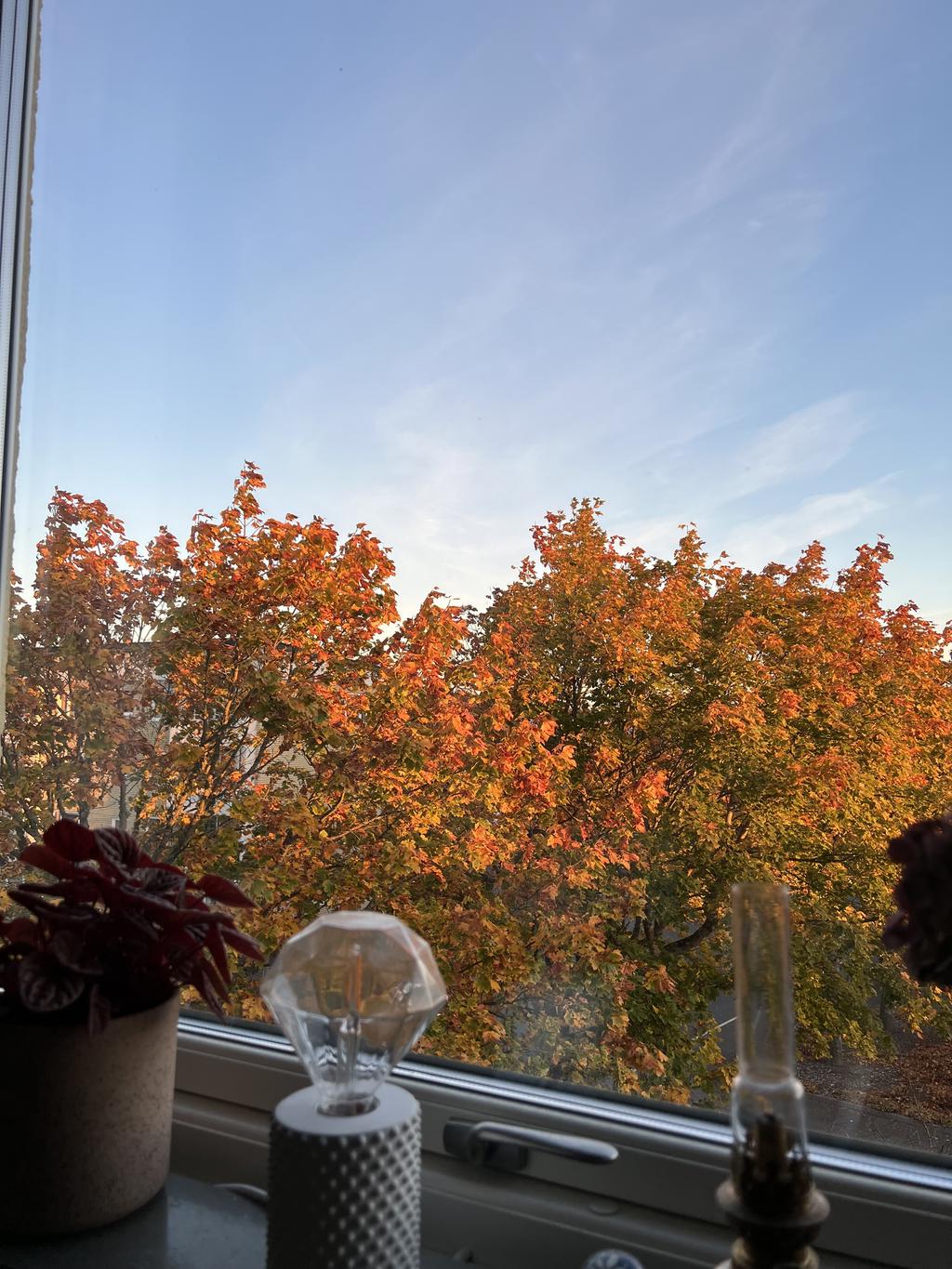 Säljarens bilder