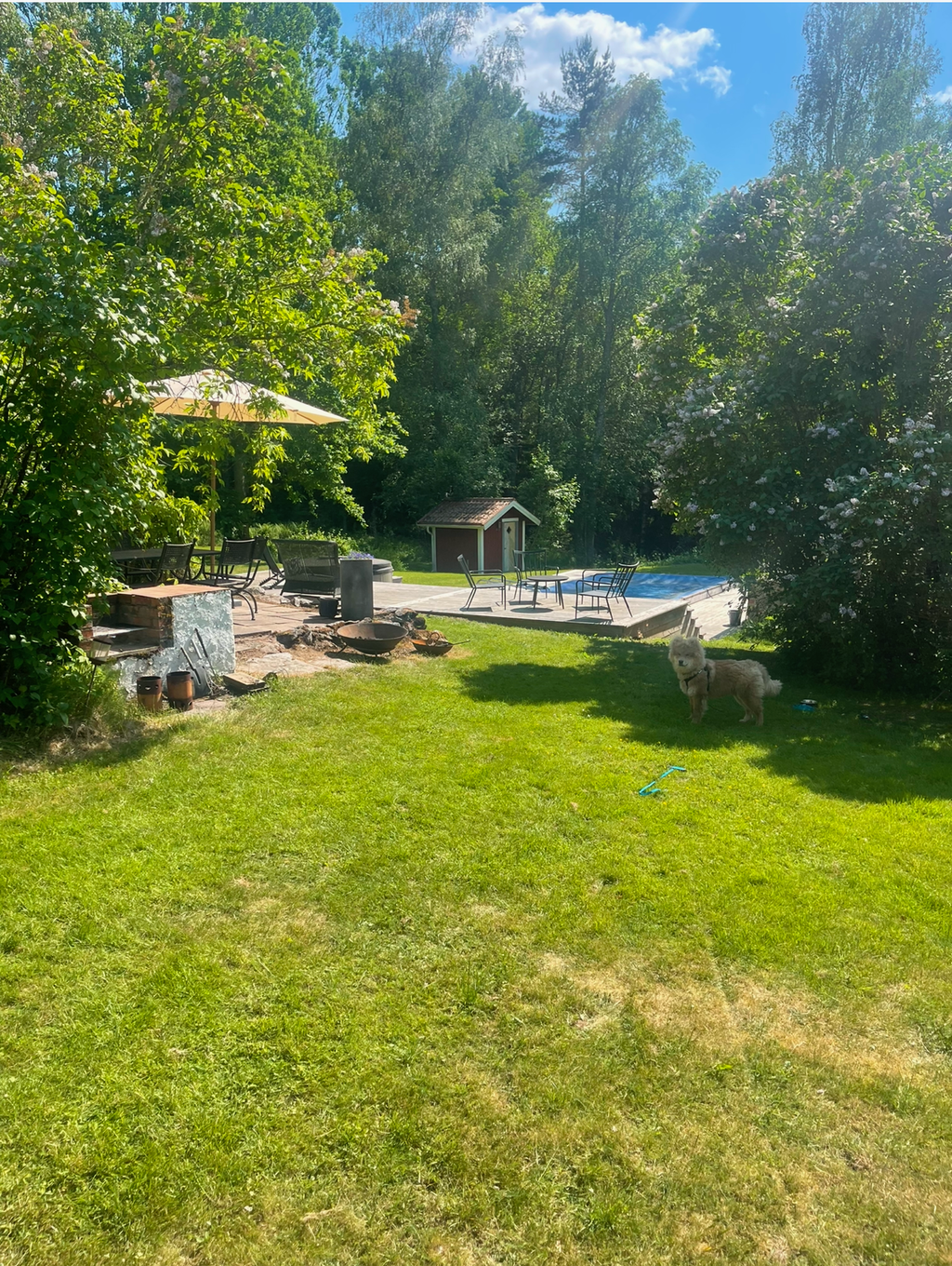 Från hus mot poolen, ägarbild