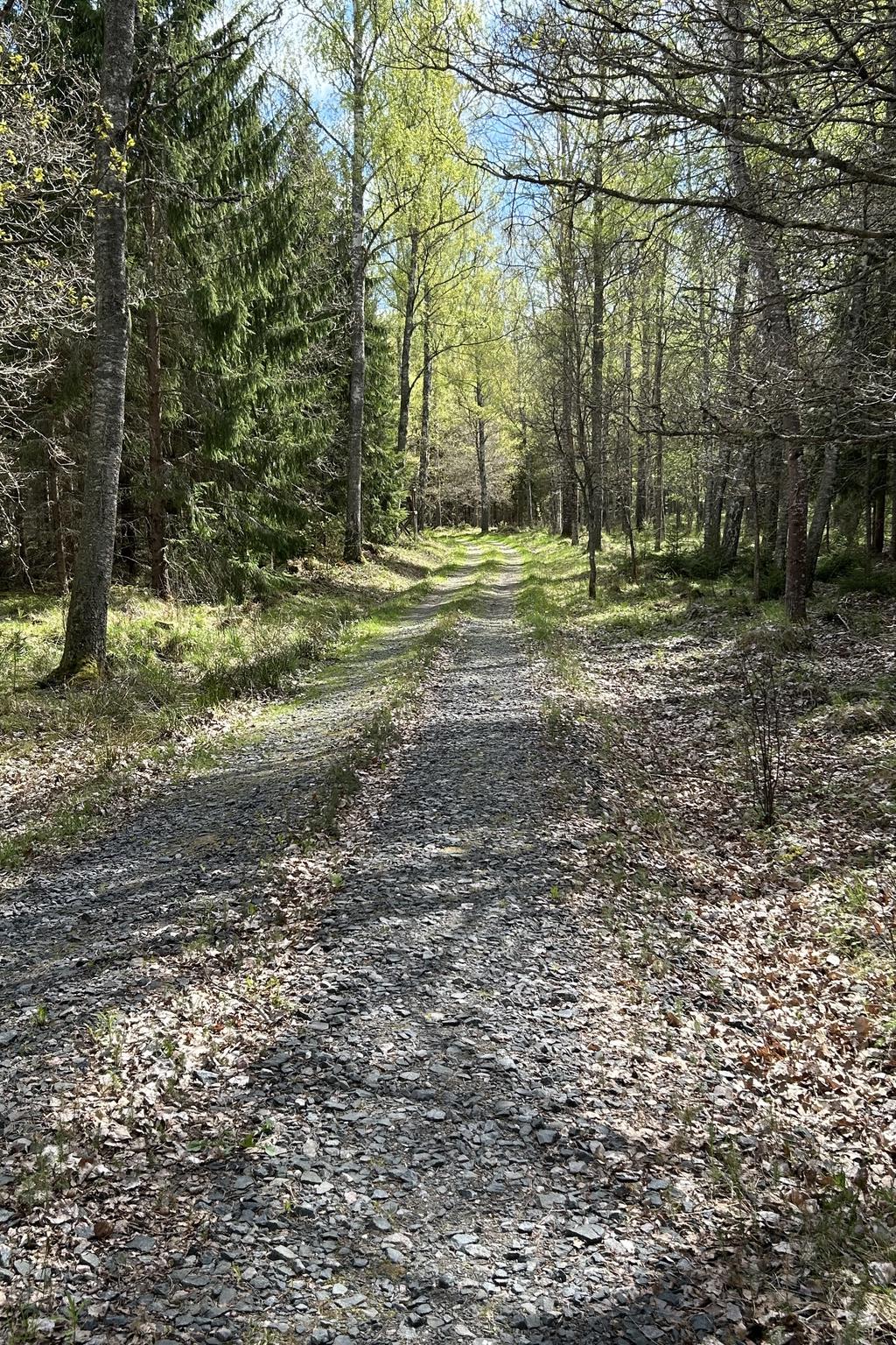 Vägen fram