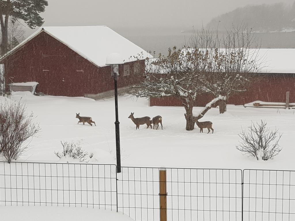 Säljares bild